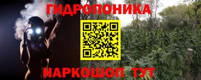 гидра Кинель