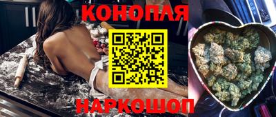 гидра Кинель