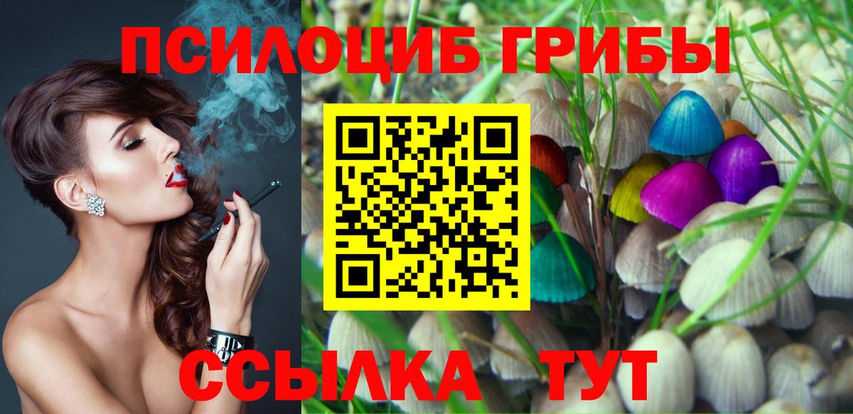 Кировск  Галлюциногенные грибы прущие грибы  Вход с VPN  Галлюциногенные грибы мухоморы 