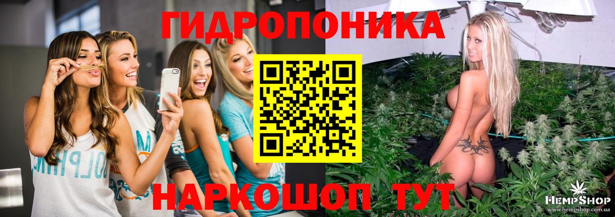 Канабис Кировск